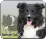 Mousepad Border Collie